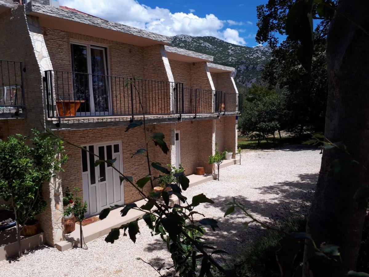 Amanda C Apartment สตารีกราด-ปาเคลนีซา ภายนอก รูปภาพ